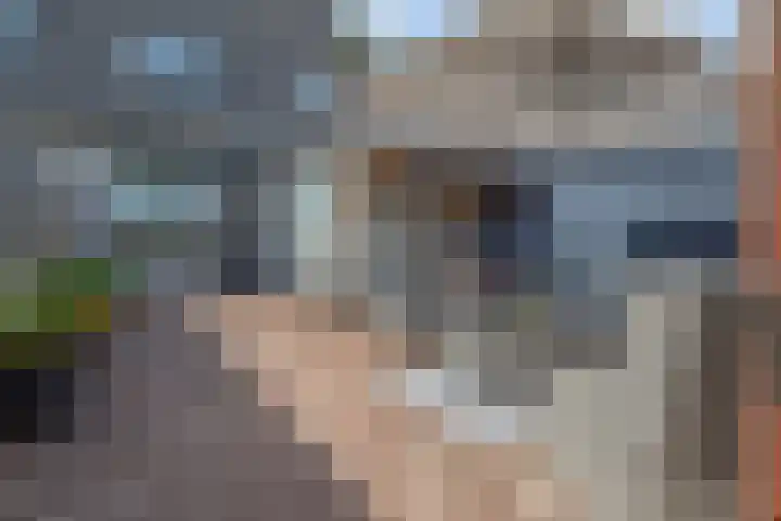 Kanariegeel 21 Zoetermeer thumbnail 12