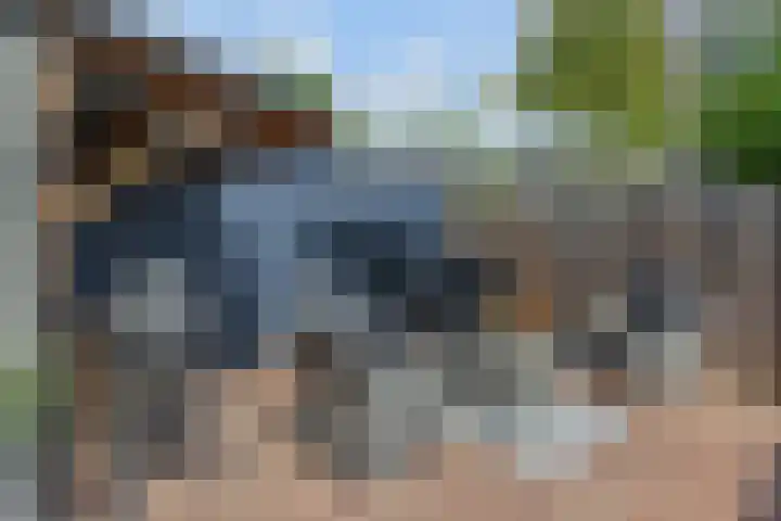 Kanariegeel 21 Zoetermeer thumbnail 13