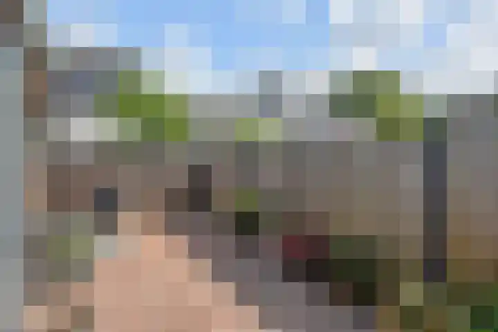 Kanariegeel 21 Zoetermeer thumbnail 14