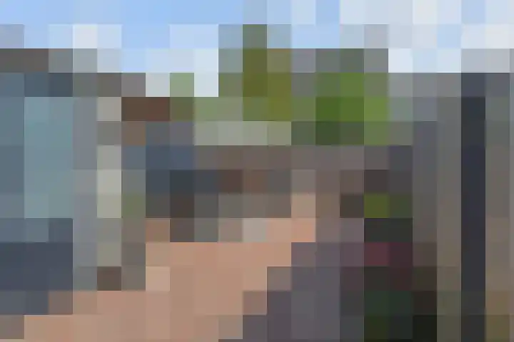 Kanariegeel 21 Zoetermeer thumbnail 15