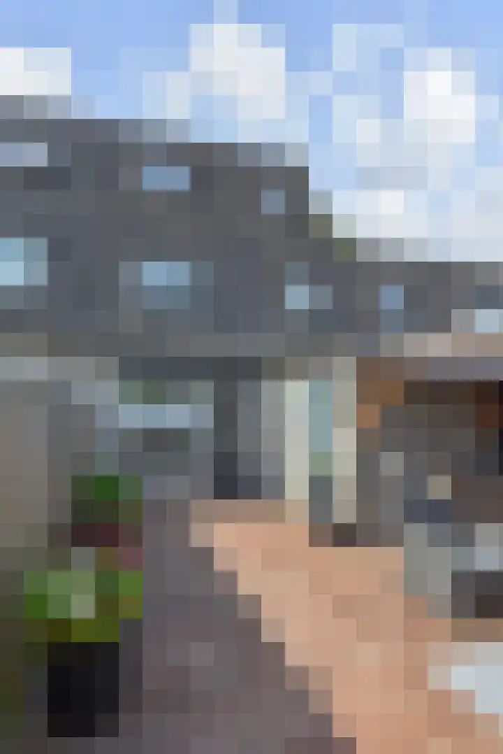 Kanariegeel 21 Zoetermeer thumbnail 16