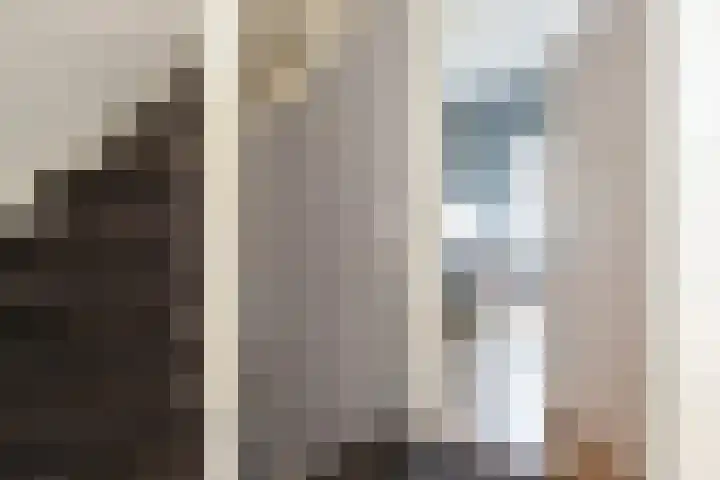 Kanariegeel 21 Zoetermeer thumbnail 18
