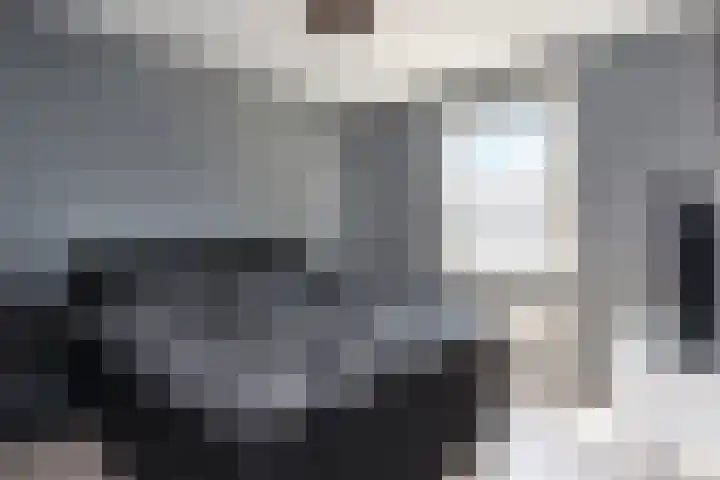 Kanariegeel 21 Zoetermeer thumbnail 19