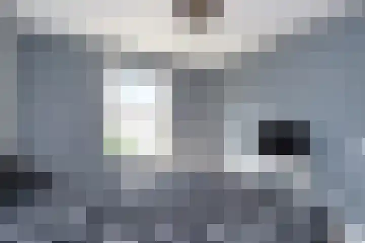 Kanariegeel 21 Zoetermeer thumbnail 20