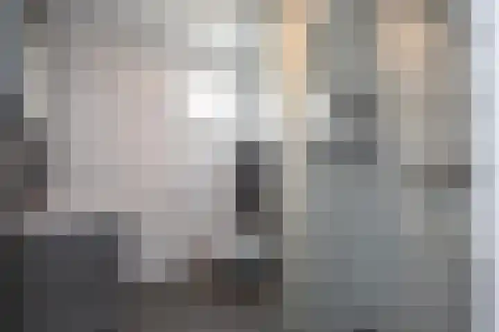 Kanariegeel 21 Zoetermeer thumbnail 27