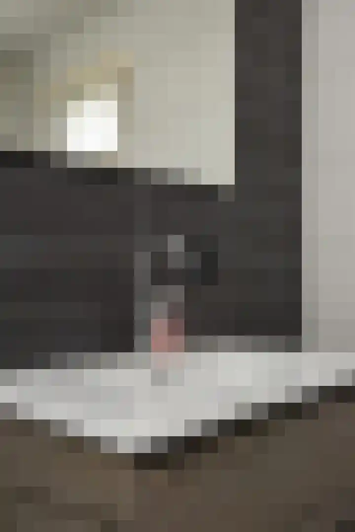 Kanariegeel 21 Zoetermeer thumbnail 29