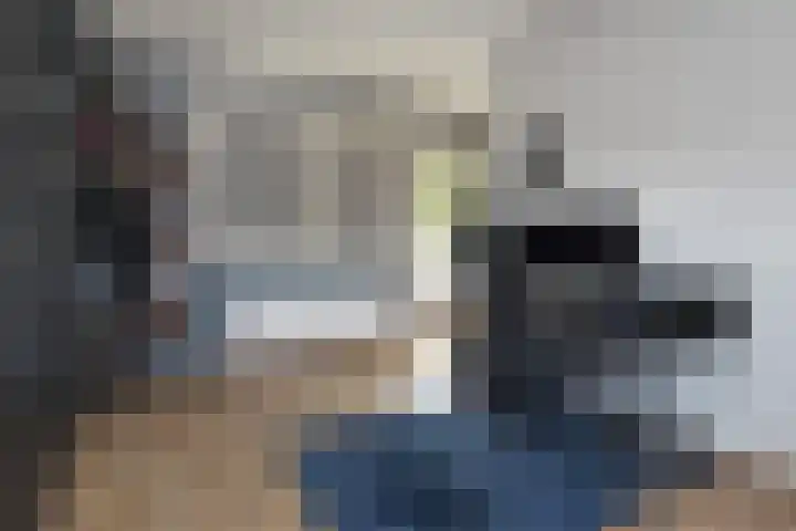 Kanariegeel 21 Zoetermeer thumbnail 35