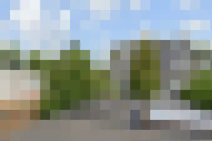 Kanariegeel 21 Zoetermeer thumbnail 38