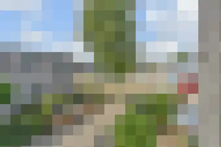 Kanariegeel 21 Zoetermeer thumbnail 39