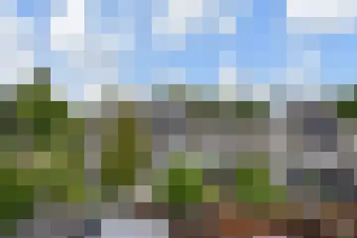 Kanariegeel 21 Zoetermeer thumbnail 40