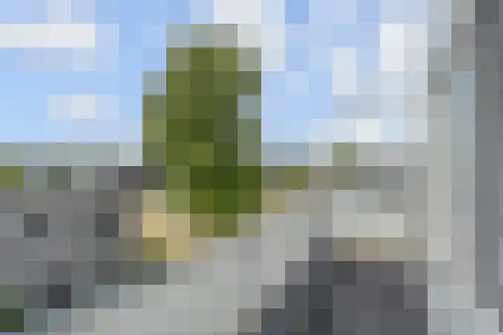 Kanariegeel 21 Zoetermeer thumbnail 42