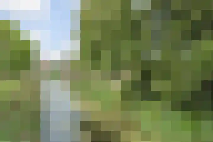 Kanariegeel 21 Zoetermeer thumbnail 48