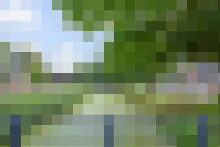 Kanariegeel 21 Zoetermeer thumbnail 49