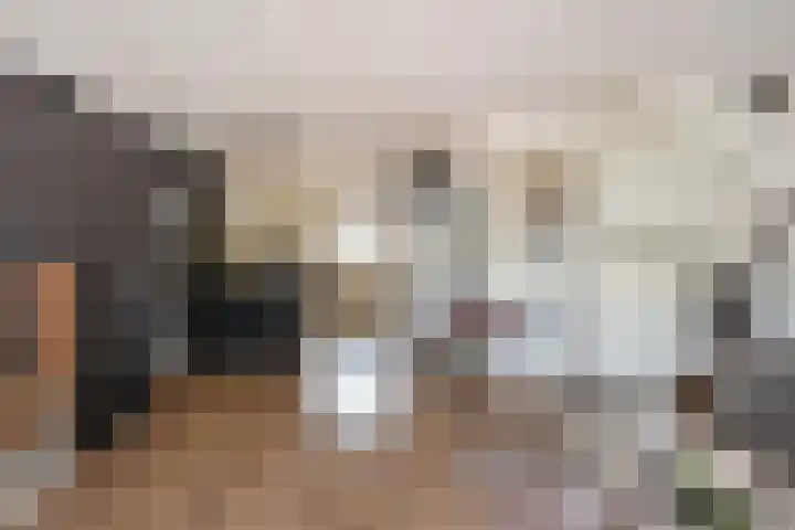 Kanariegeel 21 Zoetermeer thumbnail 5