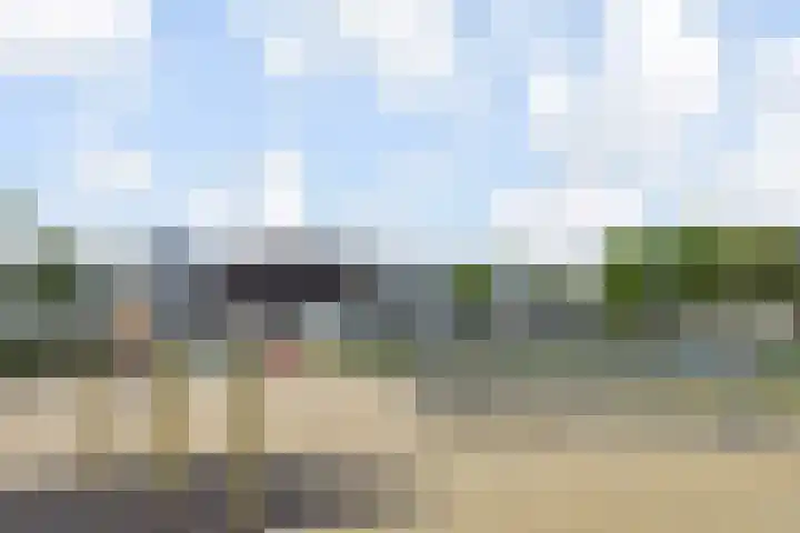 Kanariegeel 21 Zoetermeer thumbnail 50