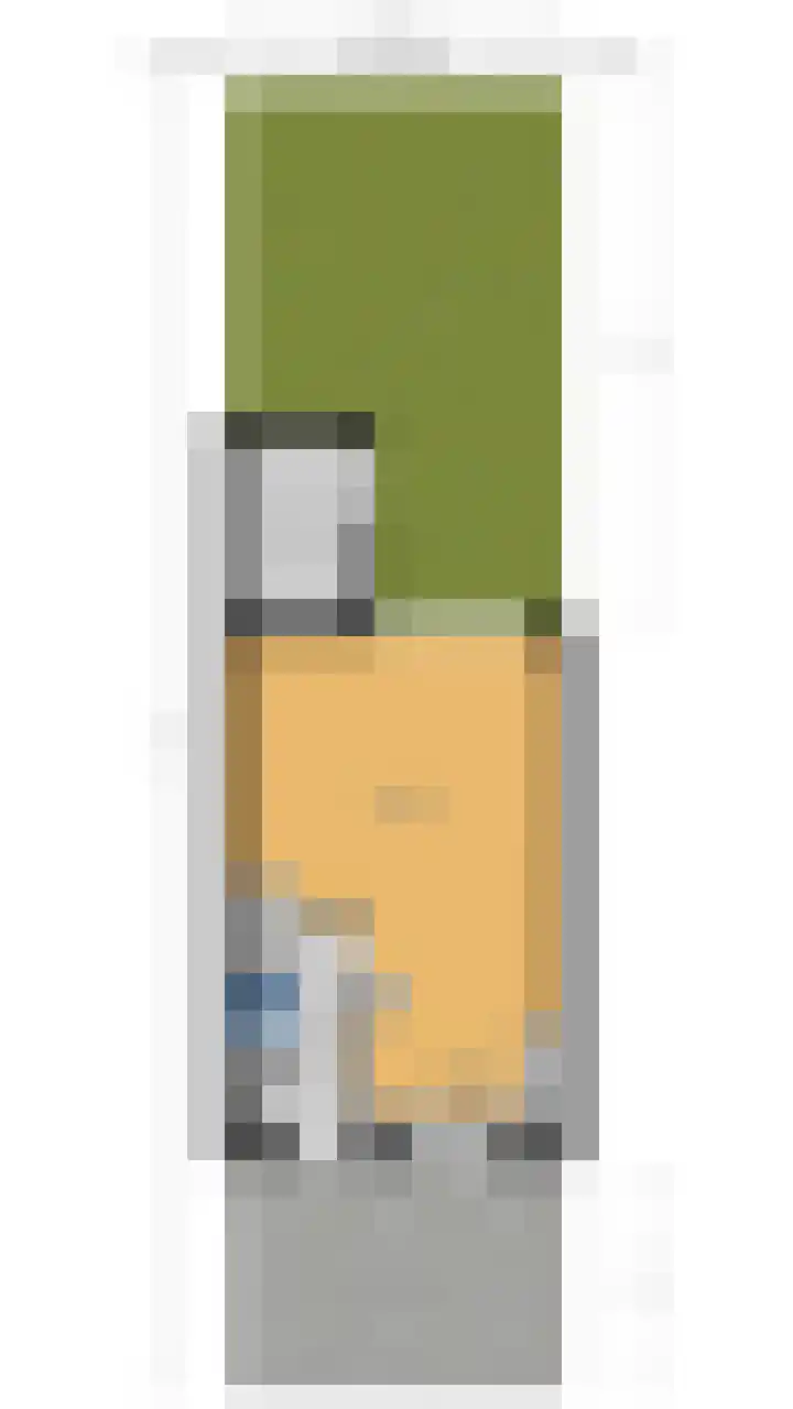 Kanariegeel 21 Zoetermeer thumbnail 51