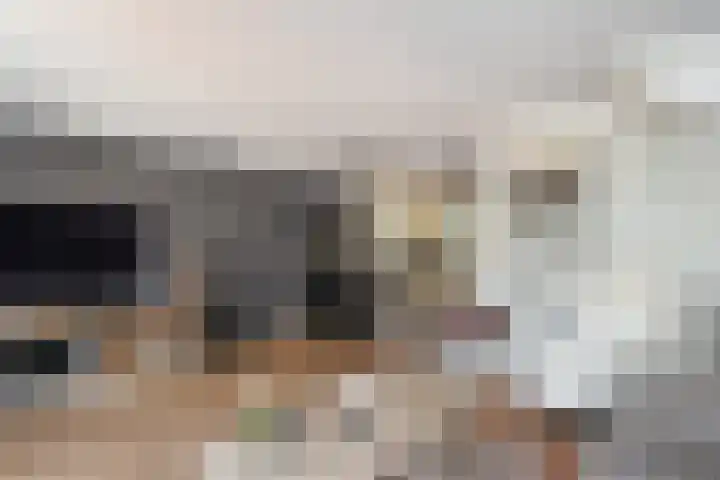 Kanariegeel 21 Zoetermeer thumbnail 6
