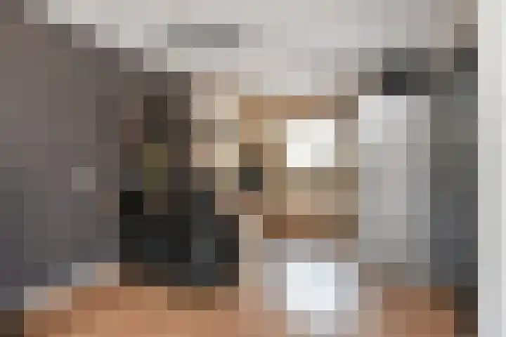 Kanariegeel 21 Zoetermeer thumbnail 7