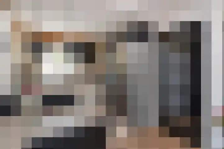 Kanariegeel 21 Zoetermeer thumbnail 8