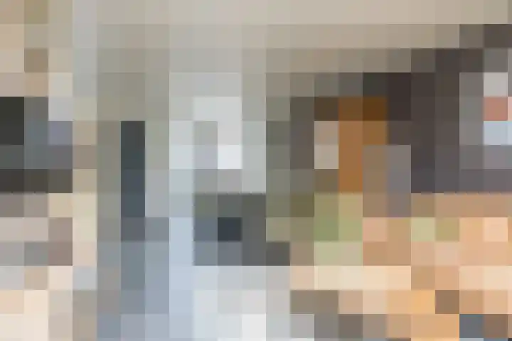 Kanariestraat 4 Eys thumbnail 4