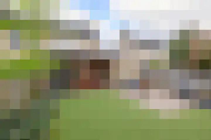 Kaneelveld 3 Veghel thumbnail 22