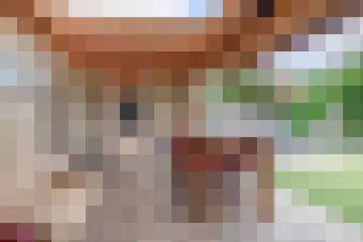 Kaneelveld 3 Veghel thumbnail 25