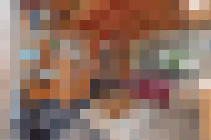 Kaneelveld 3 Veghel thumbnail 26