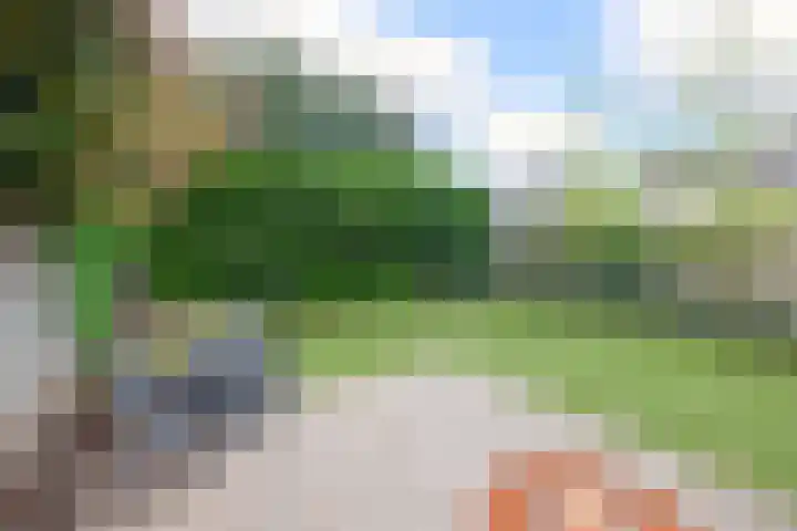 Kaneelveld 3 Veghel thumbnail 27
