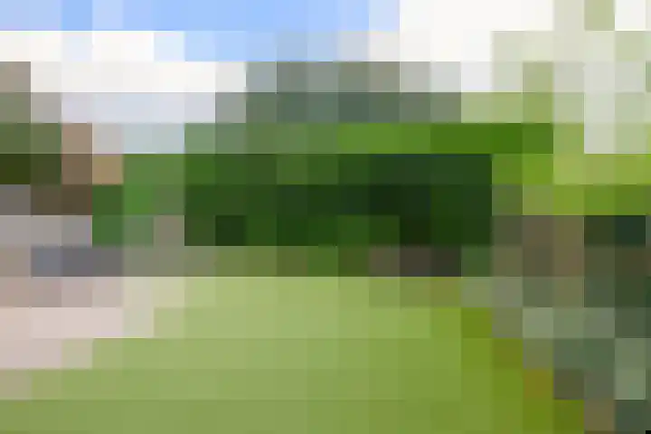 Kaneelveld 3 Veghel thumbnail 28