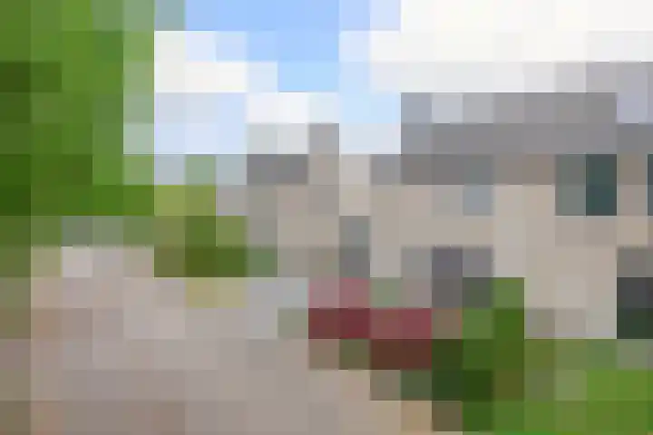 Kaneelveld 3 Veghel thumbnail 31