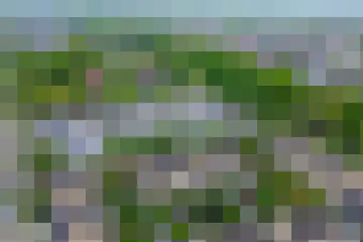Kaneelveld 3 Veghel thumbnail 34