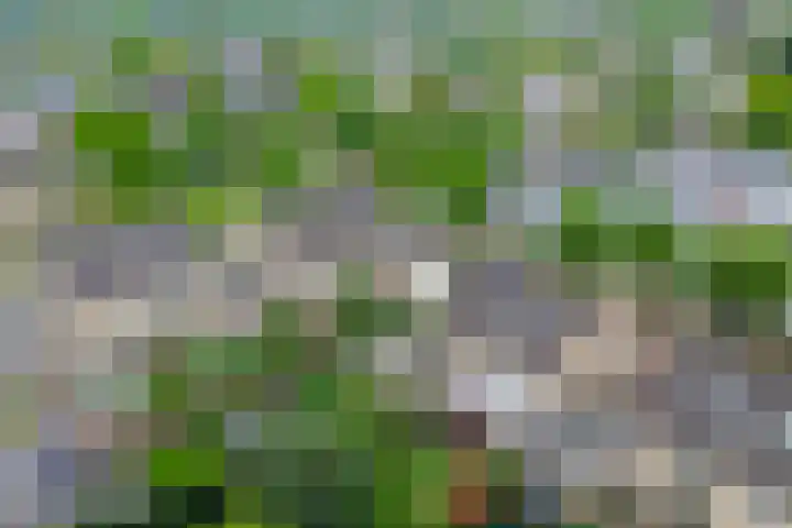 Kaneelveld 3 Veghel thumbnail 35
