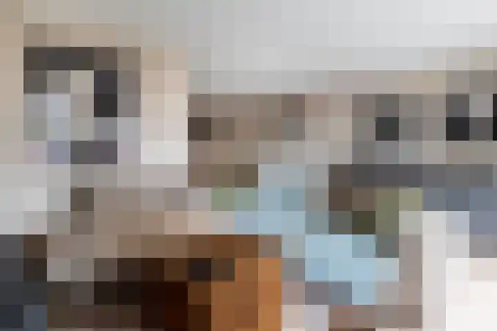 Kaneelveld 3 Veghel thumbnail 5