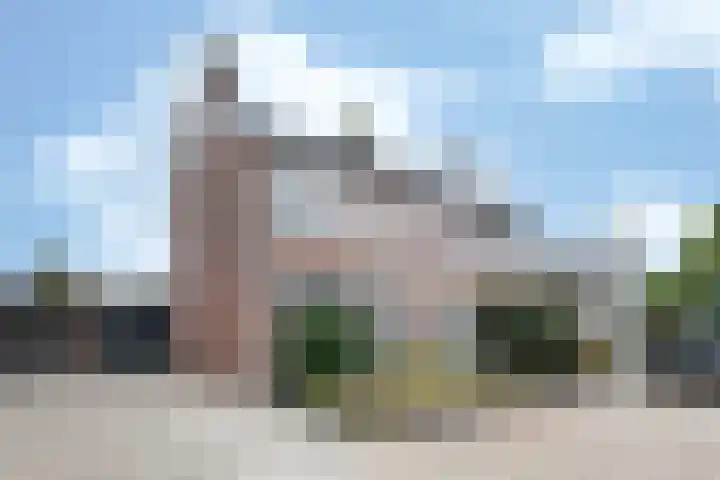 Kanestede 26 Zegge