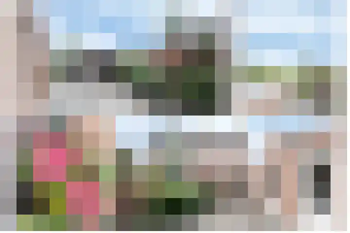 Kanestede 26 Zegge thumbnail 17