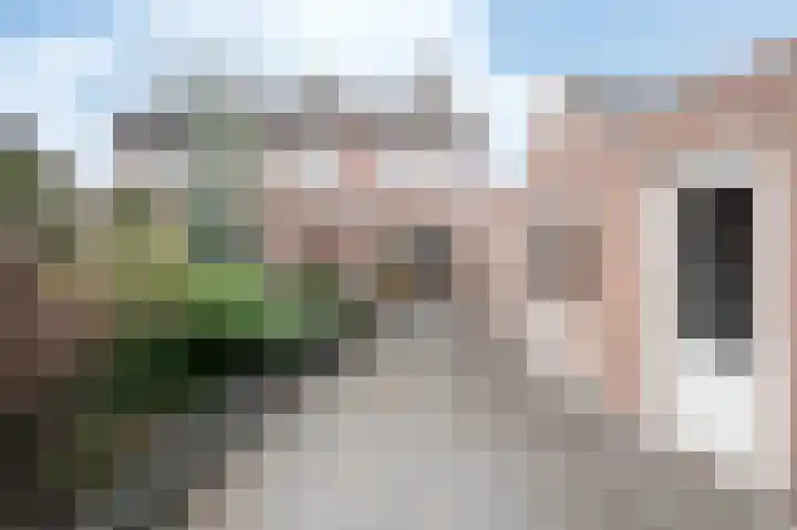 Kanestede 26 Zegge thumbnail 18