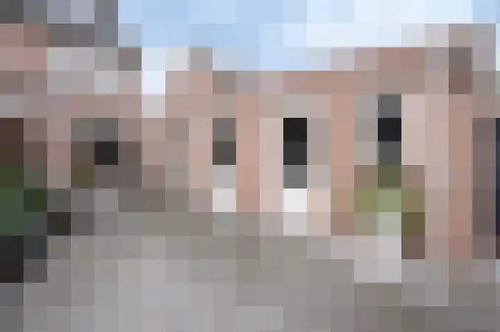Kanestede 26 Zegge thumbnail 19