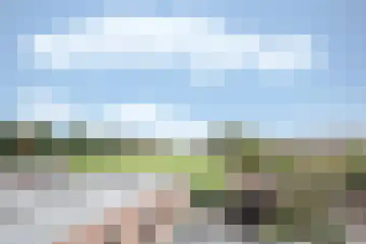 Kanestede 26 Zegge thumbnail 22