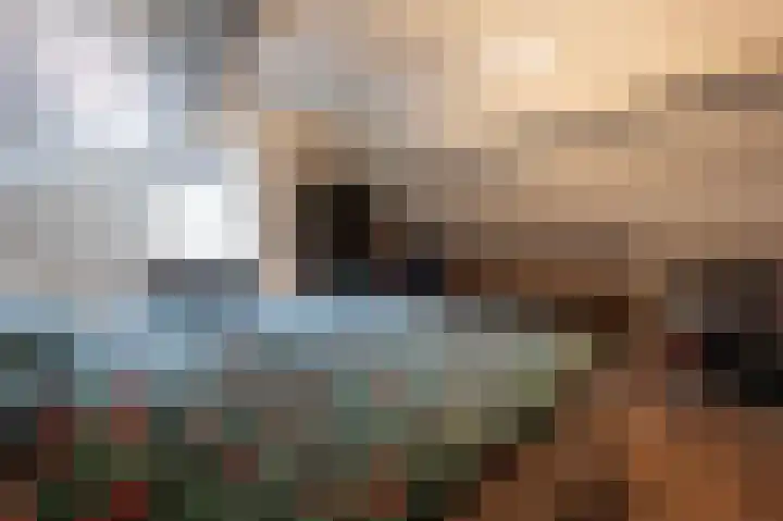 Kanestede 26 Zegge thumbnail 35