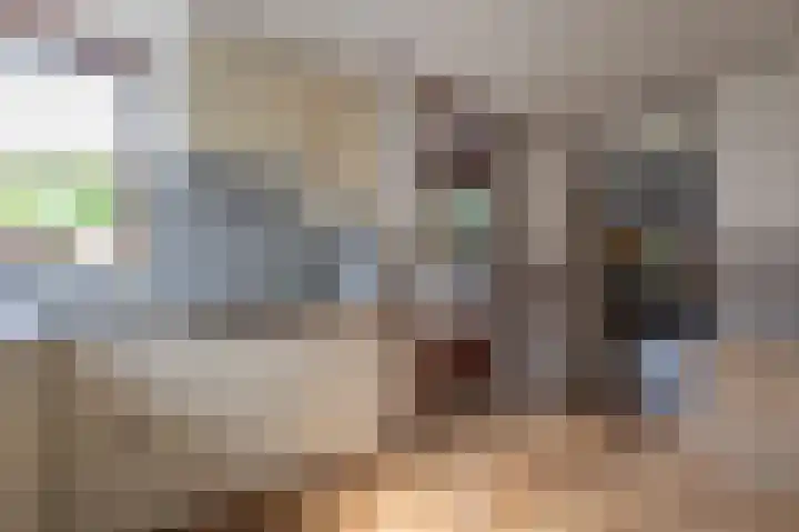 Kanestede 27 Zegge thumbnail 11