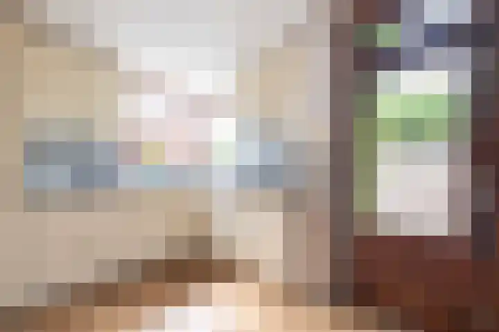 Kanestede 27 Zegge thumbnail 12