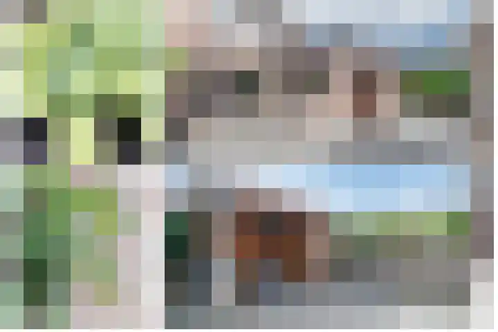 Kanestede 27 Zegge thumbnail 16