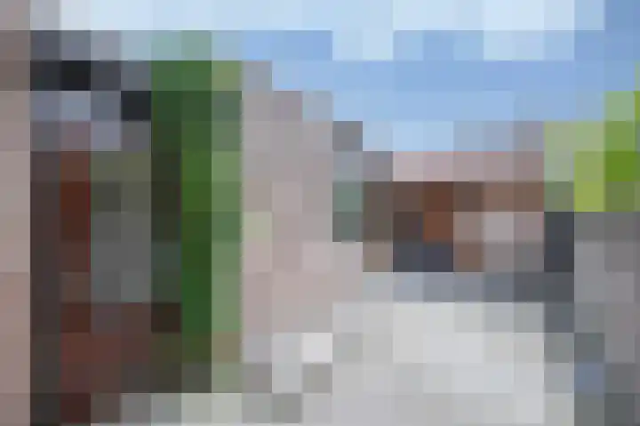 Kanestede 27 Zegge thumbnail 18