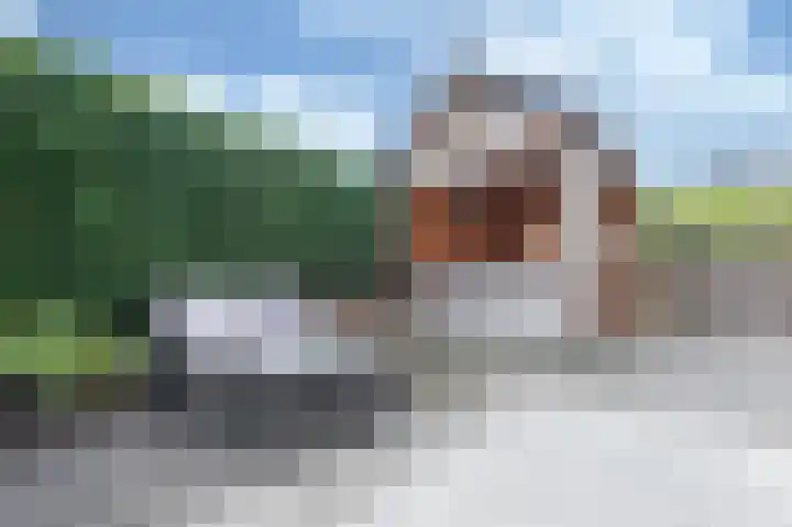 Kanestede 27 Zegge thumbnail 21