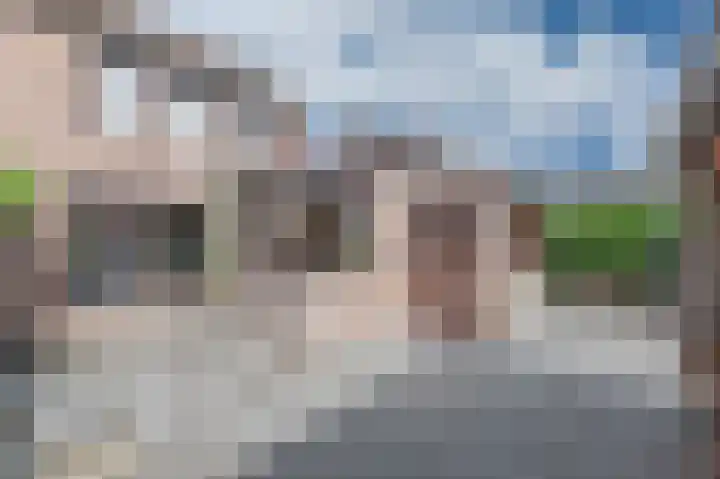 Kanestede 27 Zegge thumbnail 22