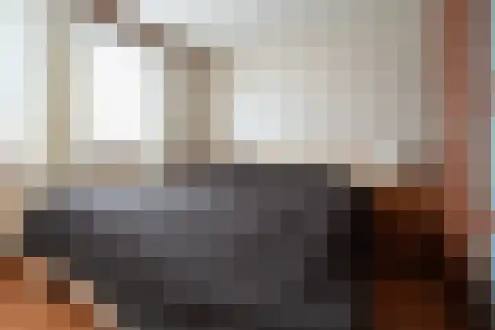 Kanestede 27 Zegge thumbnail 25