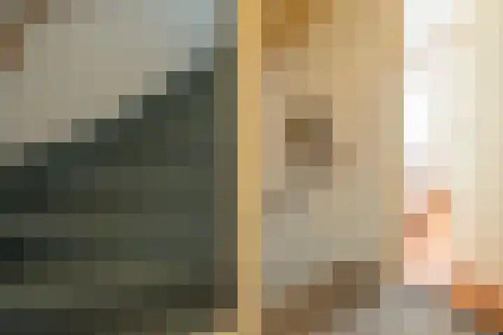 Kanestede 27 Zegge thumbnail 33