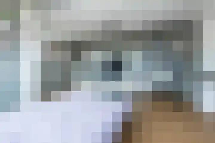 Kanestede 27 Zegge thumbnail 34
