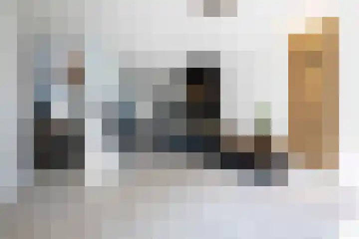 Kanestede 5 Zegge thumbnail 10