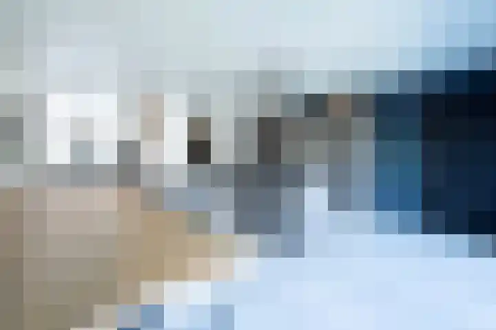 Kanestede 5 Zegge thumbnail 16